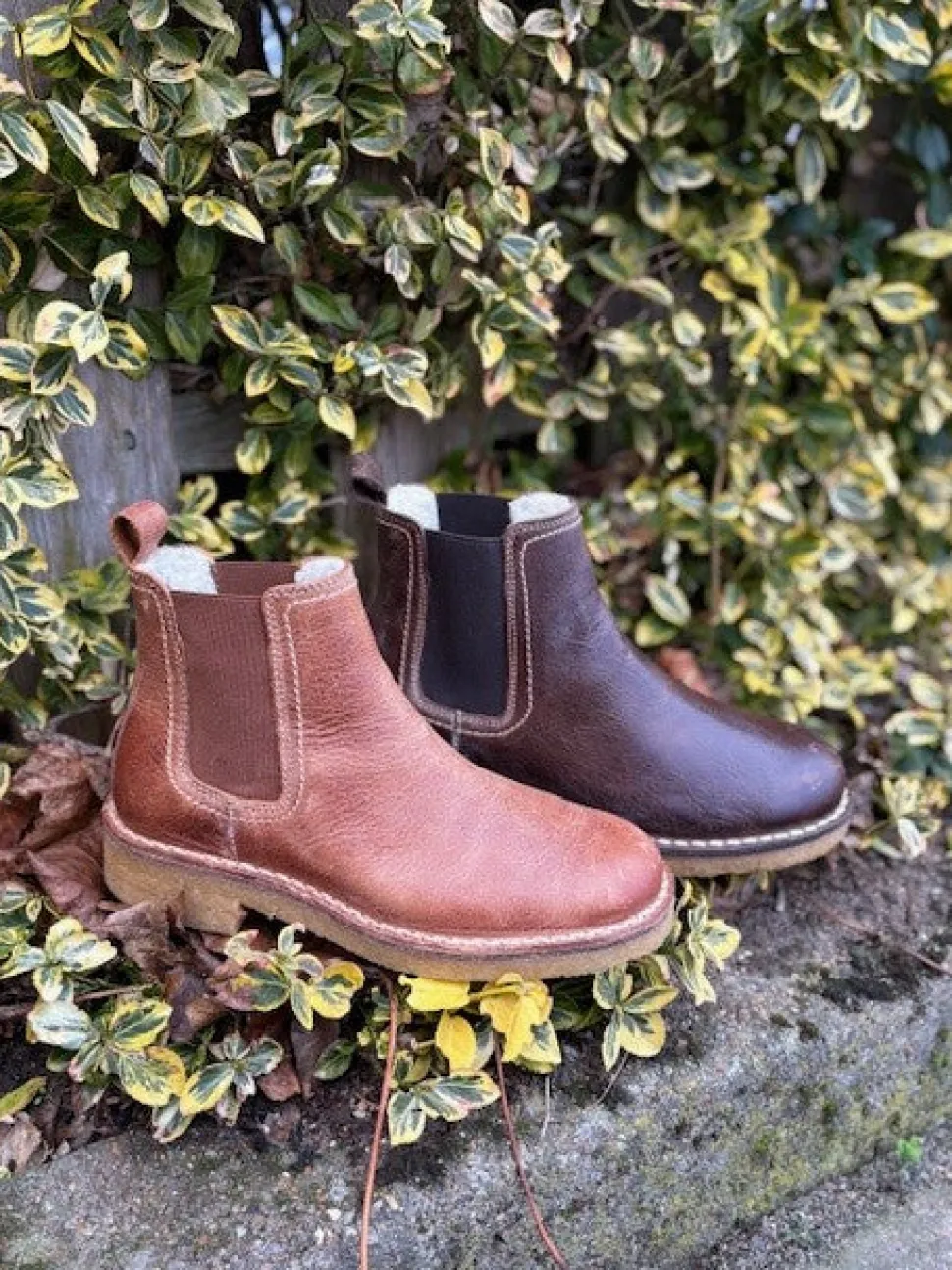 Brown West Trotter Chelsea