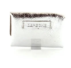 Credit Card Silver