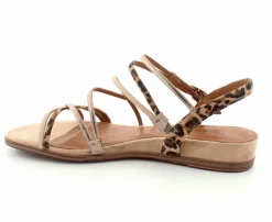 Elegant Sandal