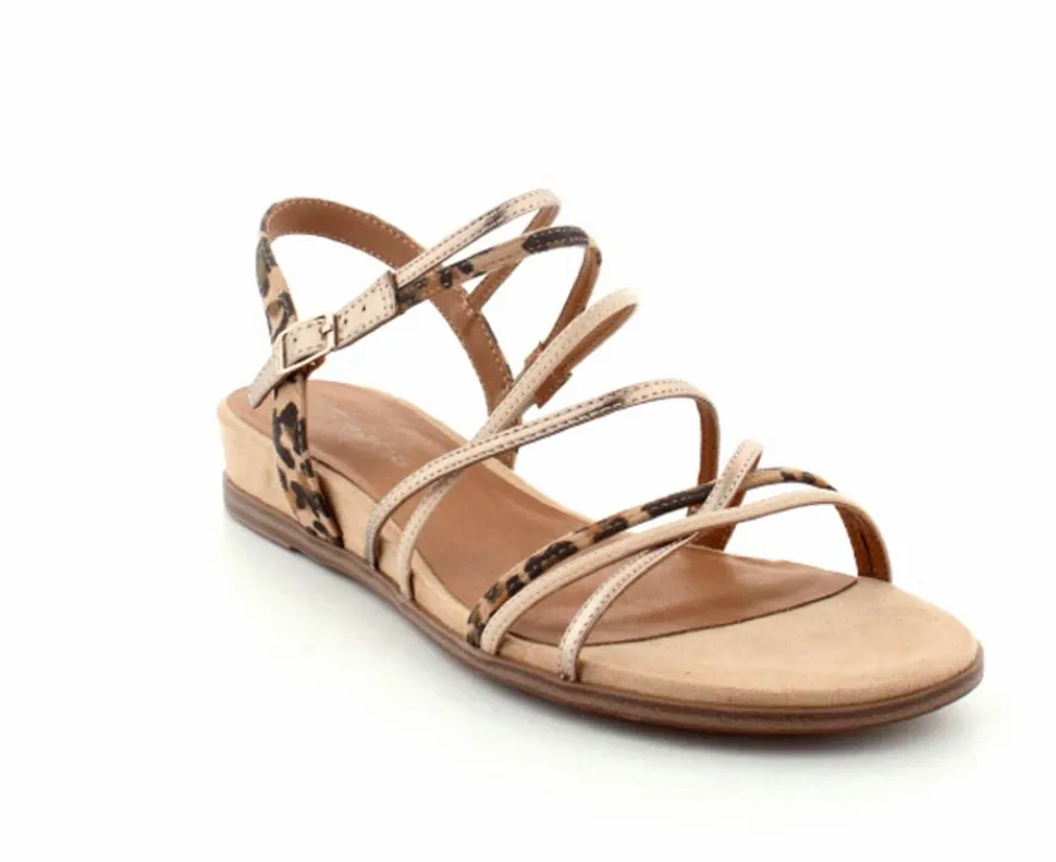 Elegant Sandal