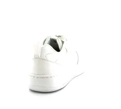 Sport Court Sneakers